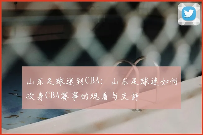 山东足球迷到CBA：山东足球迷如何投身CBA赛事的观看与支持