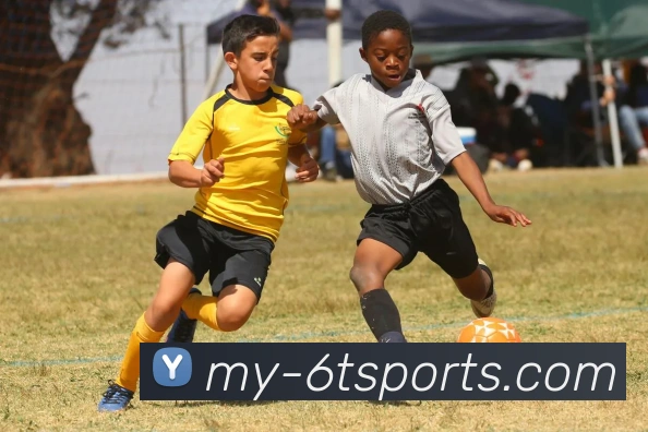 6T体育平台生态图